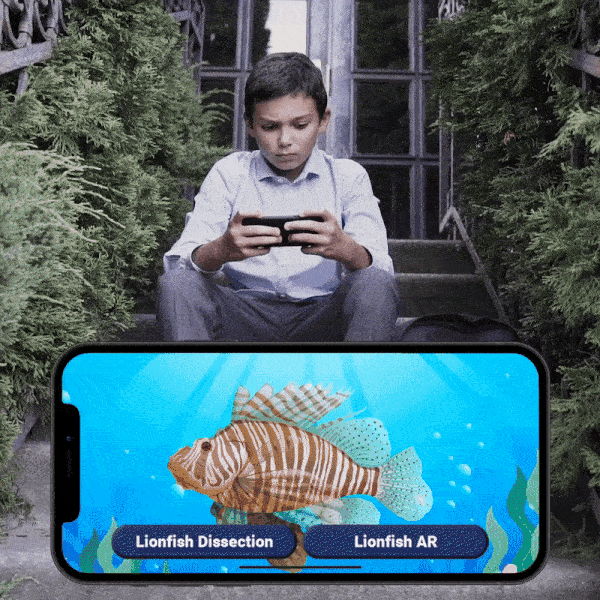 LionFish-AR-GIF courtesy Echo Interactive
